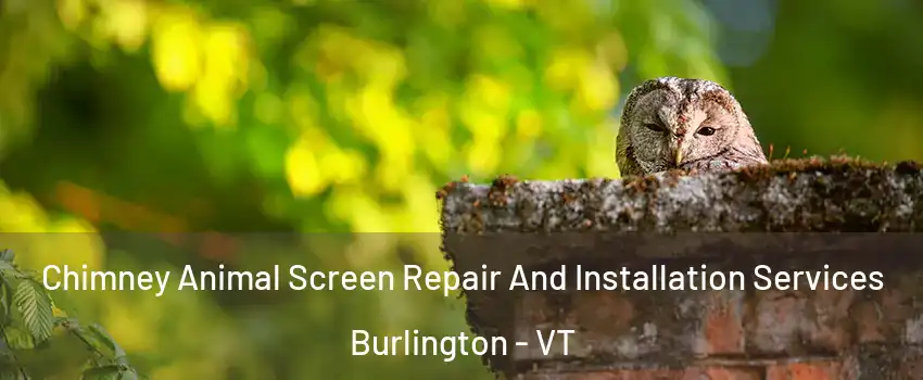  Chimney Animal Screen Repair And Installation Services Burlington - VT