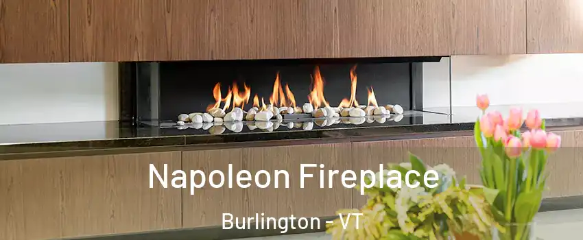  Napoleon Fireplace Burlington - VT